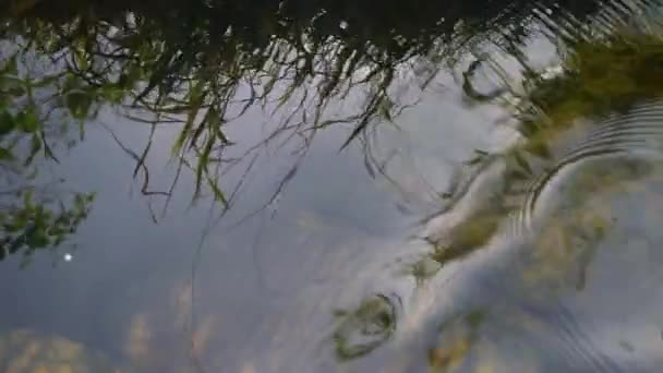 Flytande Kristallklart Vatten Vid Guldsten Backround Rent Flodvatten — Stockvideo