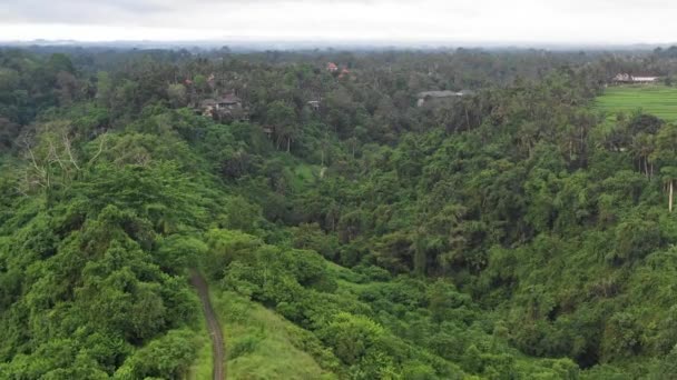 Знакова Прогулянка Хребтом Кампуган Убуді Балі Індонезія — стокове відео