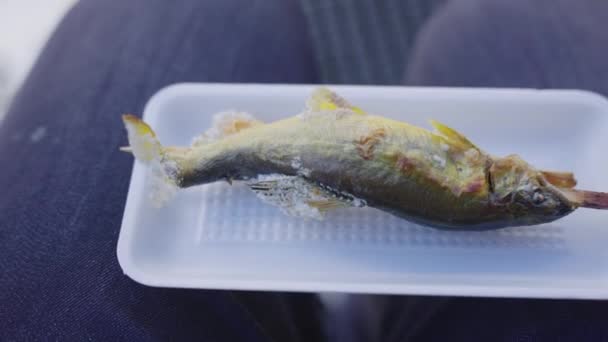 Tuzlu Izgara Ayu Tatlı Balığı Geleneksel Japon Sokak Yemeği — Stok video