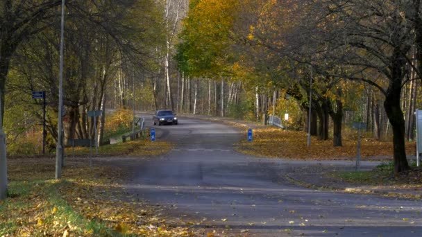 Auta Jedoucí Ulici Osobou Kráčející Podzimní Listí Padající Stromu Široký — Stock video