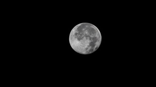 Повна Фаза Місяця — стокове відео