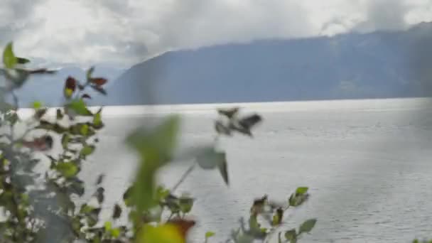 View Frozen Lake Mountain Swaying Plants Anchorage Alaska Inglés Estática — Vídeos de Stock
