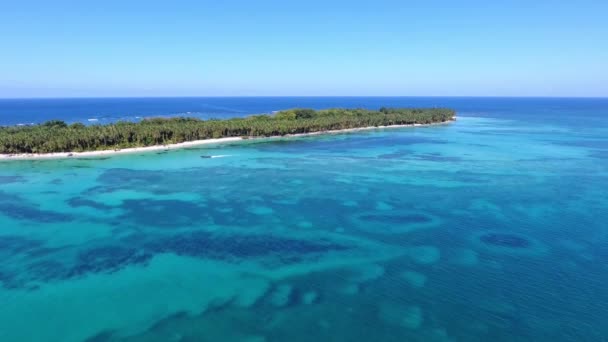 Vol Ascendant Surplombant Île Couverte Palmiers Avec Bateau Moteur Mobile — Video