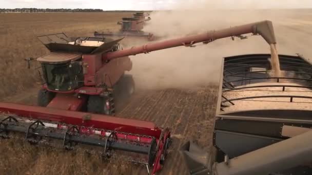 西オーストラリア州で収穫作物の美しい空中ビュー — ストック動画