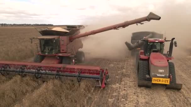 Schöne Luftaufnahme Der Ernte Westaustralien — Stockvideo