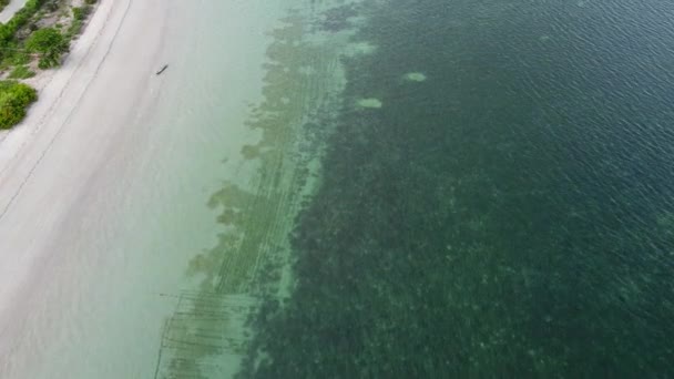 Vuelo Aéreo Sobre Una Pequeña Granja Sostenible Algas Marinas Aguas — Vídeos de Stock