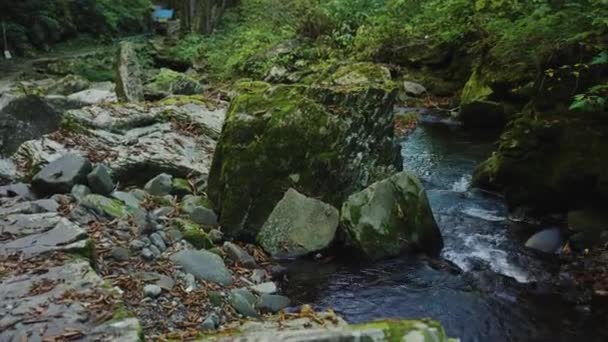 Gebirgsbach Mit Moosbedeckten Felsen Den Bergen Von Gifu Japan — Stockvideo