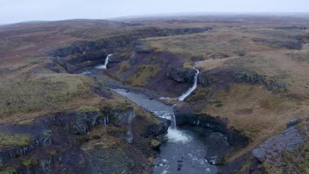 Повітряна Орбіта Багатьох Водоспадів Пливе Річки Села Острові Ісландія — стокове відео