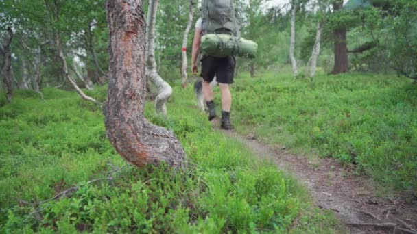 提着背包走在森林小径上的狗和远足者 宽射门 — 图库视频影像