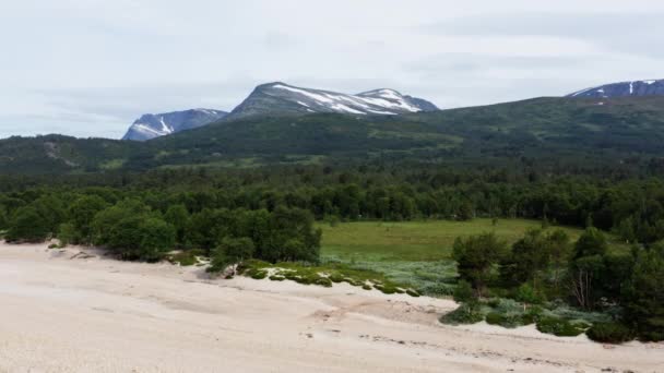 Alberi Verdi Lussureggianti Nella Foresta Con Spiaggia Sabbia Bianca Norvegia — Video Stock