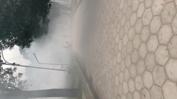 Pov Walking Fog Smoke Kill Mosquitos Park Dhaka Inglés Vídeo — Vídeo de stock