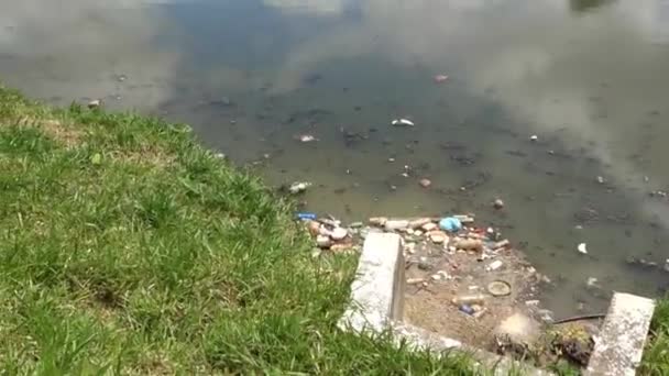 Sao Paulo Brazil Pollution Pinheiros River Sewage Trash City View — Stock Video