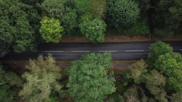 Top Luchtfoto Van Een Lege Landweg Met Bos Engeland — Stockvideo