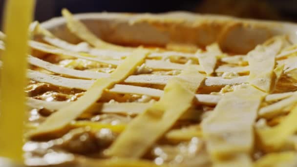 Placing Uncooked Yolk Dough Strips Top Lasagna Step Step Recipe — Stock Video