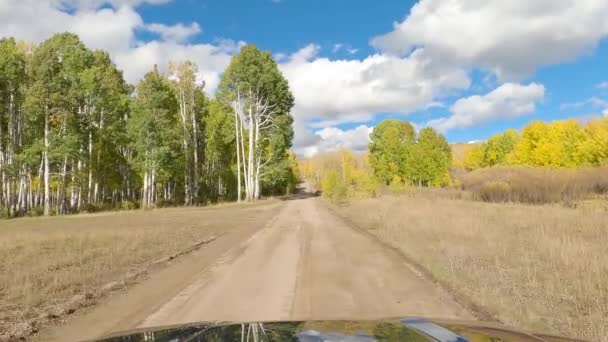 Jízda Lesní Oblasti Zbarvené Zlatými Podzimními Barvami Hrbolaté Štěrkové Cestě — Stock video