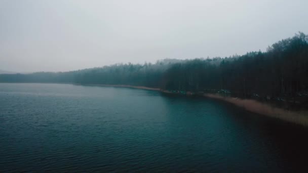 Beau Lac Hiver Forêt Sur Rivage — Video