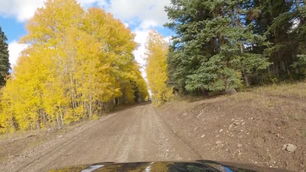 Zastavení Straně Štěrkové Cesty Aby Chevrolet Truck Projít Lesní Oblasti — Stock video