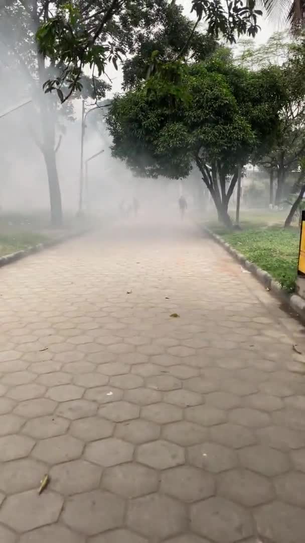 Pov Walking Fog Smoke Kill Mosquitos Park Dhaka Inglés Vídeo — Vídeo de stock