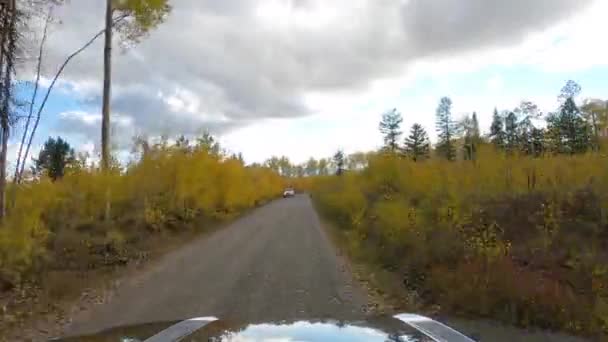 秋の色の森と野生の砂利道上の別の車両で通過 Pov — ストック動画