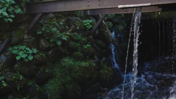 Gujo Hachiman Water City Fluyendo Manantiales Que Salen Tierra — Vídeo de stock