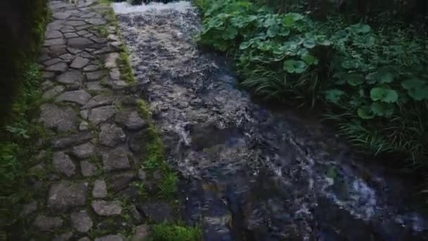 Μονοπάτι Cobblestone Στο Gujo Hachiman City Νερό Ρέει Στον Ποταμό — Αρχείο Βίντεο