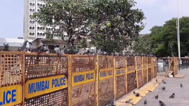 Крупный План Полицейской Вывески Расположенной Районе Колаба Перед Воротами Индии — стоковое видео