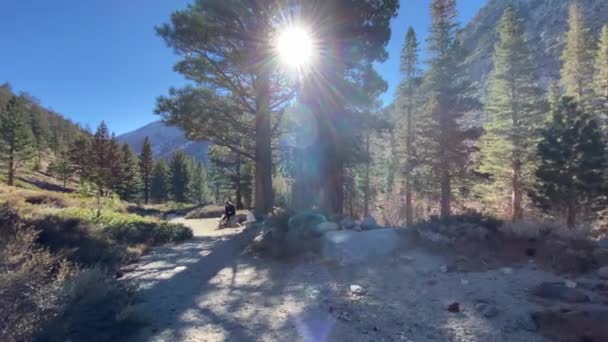 Flicka Ett Underbart Landskap Vid Bergen Sierra Nevada Nära Kungar — Stockvideo