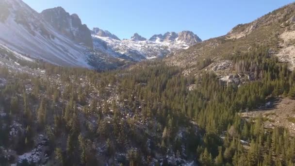 Aerial Mountain Glaciers Valley Forest King Canyon National Park Big — Vídeo de stock