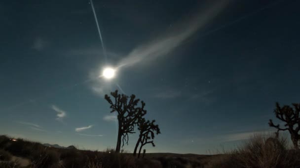 モハベ砂漠の日々の聖なる聖杯の時間の経過と満月 前景のジョシュアの木と星と雲の風景 — ストック動画