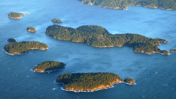 海洋中的小松树林群岛 空中景观黄金时段 — 图库视频影像