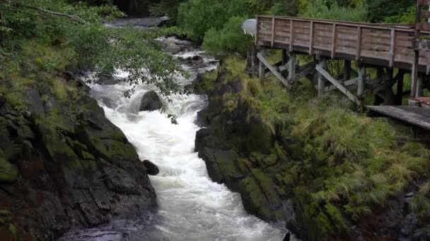 狂野远足与河流和瀑布 — 图库视频影像