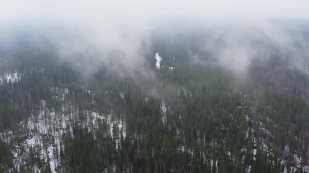 Aerial Drone View Foggy Snowy Boreal Taiga Forest Slowly Forwarding — Stock Video