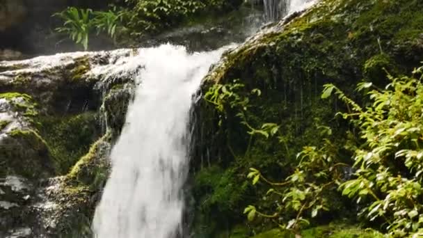 Luta Upp Skott Idylliska Vattenfall Mossig Skog Soliga Dag Flyter — Stockvideo