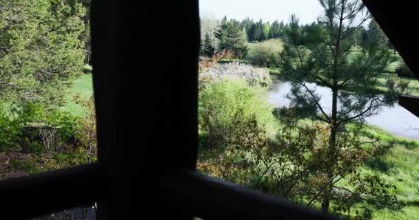 Estanque Con Vegetación Verde Vacaciones Lodge Sunriver Resort Oregon Tiro — Vídeo de stock