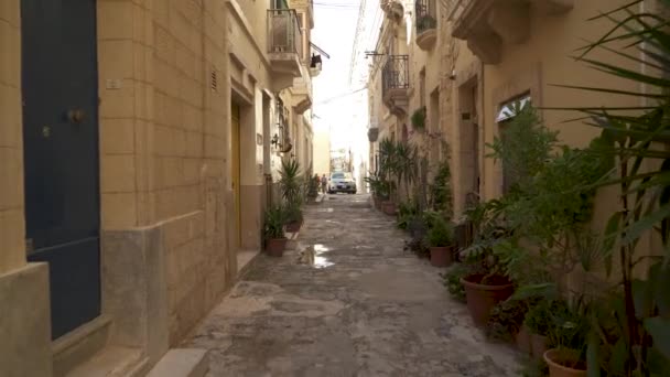 Úzká Obytná Ulice Starým Bydlením Schodišti Rostlinami Květináčích Senglea Malta — Stock video