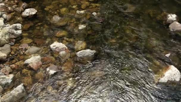 Calm Stream Water Rocky Riverbed Tranquil New Zealand Nature — Stock Video