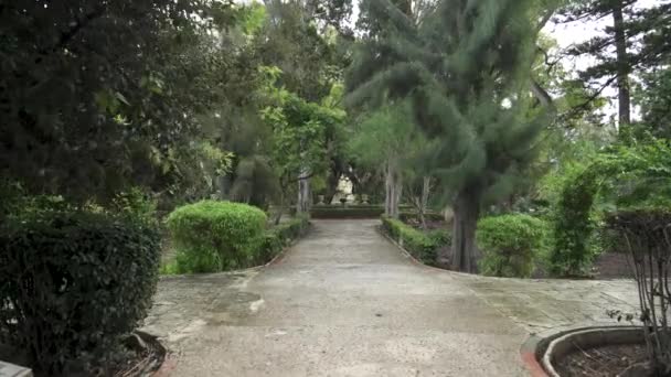 アタードのサンアントン庭園で風に成長し 振動する木の茂みと植物 — ストック動画