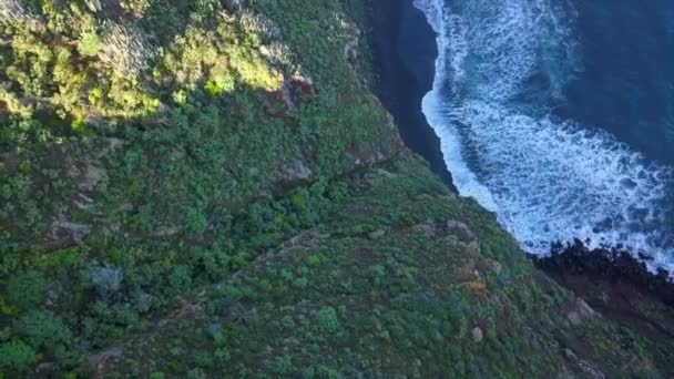 Ascenso Drones Revelando Acantilado Verde Cubierto Vegetación Tropical Una Playa — Vídeos de Stock