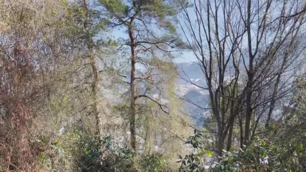 Viento Soplando Altas Montañas Cubiertas Nieve — Vídeos de Stock