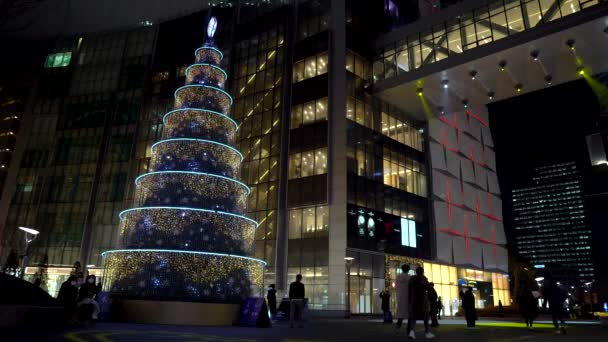 Nochebuena Árbol Colorido Decorado Con Luces Torre Del Mundo Lotte — Vídeo de stock