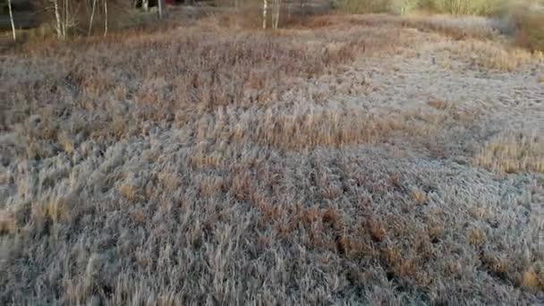 Treibholz Und See Gefrorenen Winter Aufdecken Antenne Zurückziehen — Stockvideo