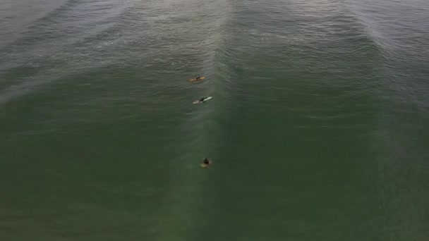 플로리다주 데이토나 해변의 파도타기하는 사람들 파도를 줄을서고 — 비디오