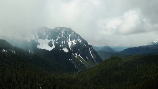 Impresionante Gran Montaña Nevada Escarpada Pico Con Gran Bosque Pinos — Vídeos de Stock