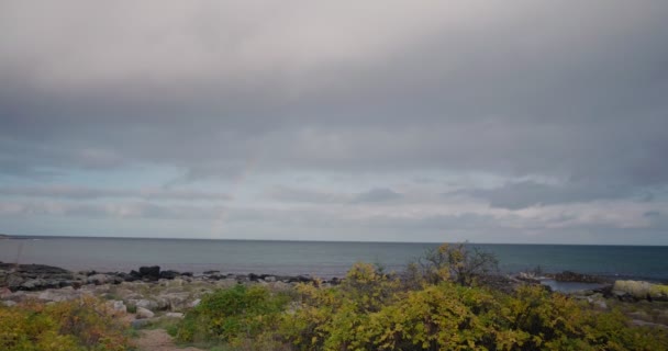 Осінь Біля Берега Південному Светрі — стокове відео