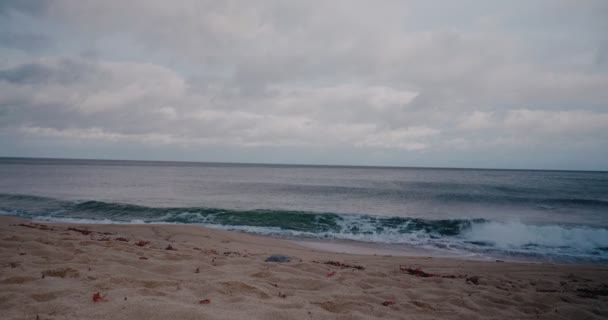 Κύματα Στην Παραλία Vrhallarna Φθινόπωρο Έξω Από Simrishamn Σουηδία Sterlen — Αρχείο Βίντεο