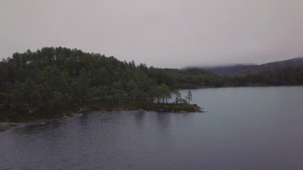 Vista Aérea Névoa Grossa Nuvem Cobrindo Uma Floresta Lago Noruega — Vídeo de Stock