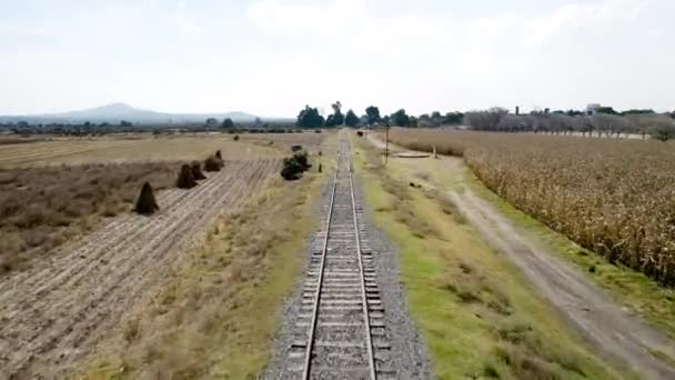 Vista Del Viaje Tren Con Dron México — Vídeos de Stock