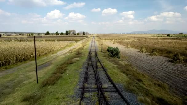 시골길을 가로지르는 철도의 — 비디오
