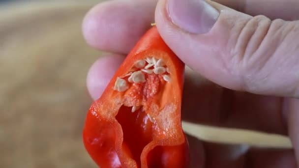 Inuti Mad Hatter Pepper Capsicum Baccatum — Stockvideo
