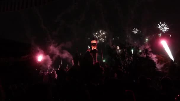 迪斯尼乐园安纳海姆华特迪斯尼世界的睡美人城堡放焰火 — 图库视频影像